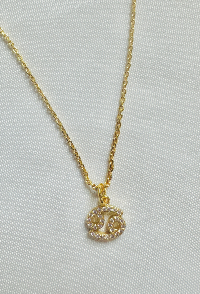 Zodiac Sign Charm Necklace (Silver or Gold)
